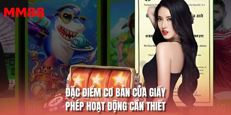 Đặc điểm cơ bản của giấy phép hoạt động cần thiết